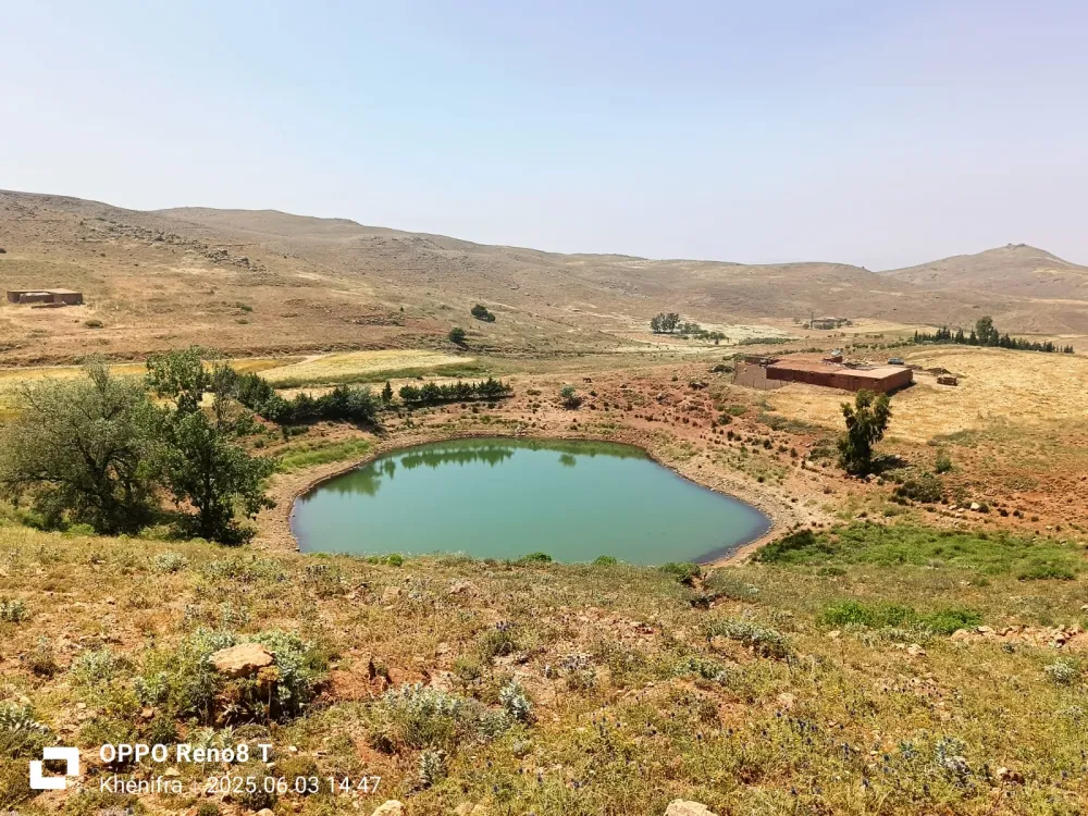 بحيرة حرشة